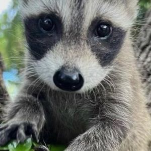 Meet your Posher, Mariyah